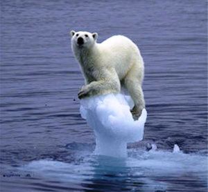 Рис. 187: Прекрасный момент пропаганды с мифом о последнем медведе, цепляющимся за последнюю нерастаявшую льдину.