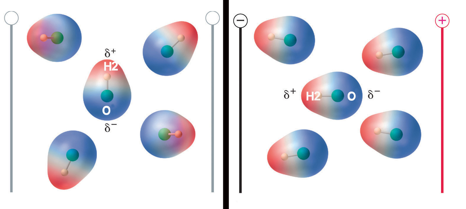 Рис. 242: Влияние электрического поля на выравнивание молекул воды.