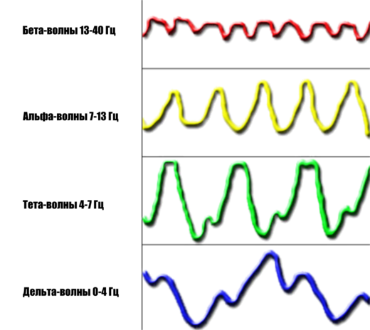 Рис. 241: Обычно электрическая активность мозга включает в себя диапазоны Альфа, Бета, Тета и Дельта частот.
