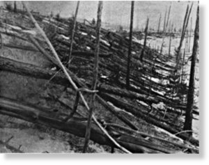 tunguska