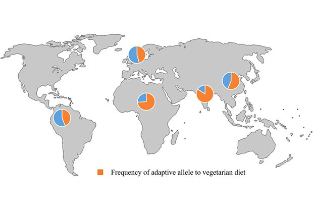 vegetarians mutations area