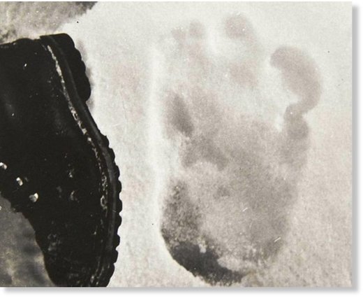 bigfoot