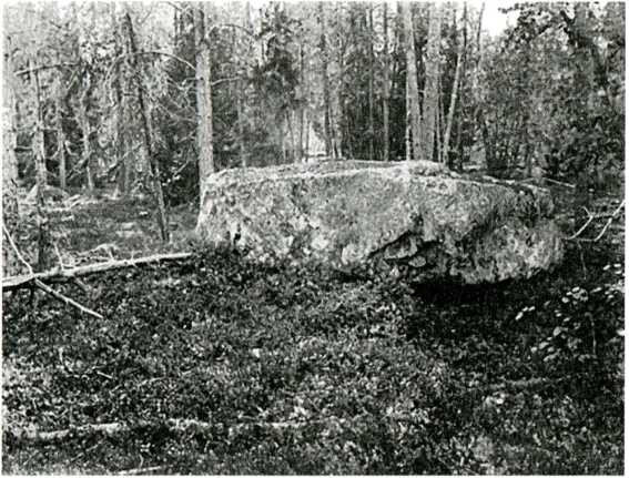 Одна из находок — камень-жертвенник. Архив семьи Кондиайнов