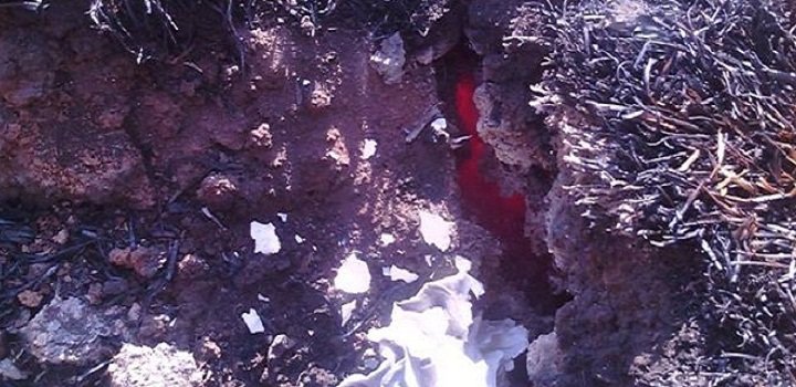 Группа ученых из Совета геологических наук ЮАР направилась в пятницу 12 августа в провинцию Лимпопо, чтобы выяснить причину странных лавообразных возгораний в земле, происходящих в деревне Зааиплаас