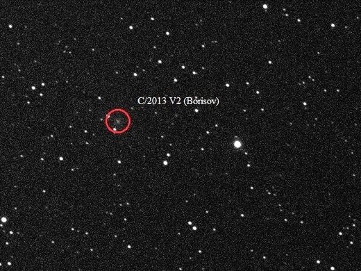 Снимок первой кометы, открытой Геннадием Борисовым. Фото из личного архива Г. Борисова