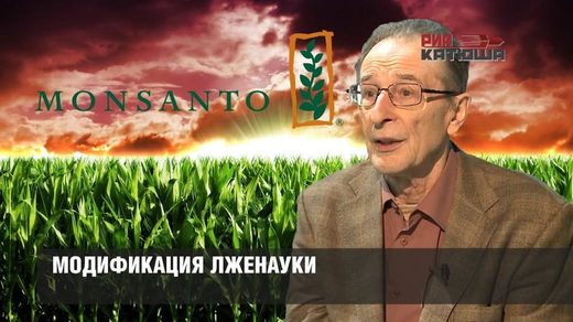 gmo 