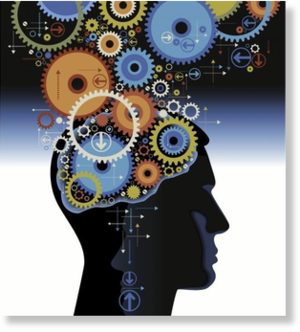 brain