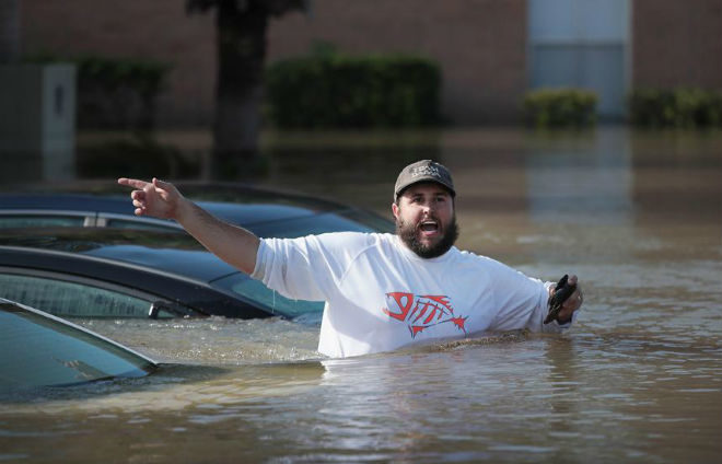 harvey
