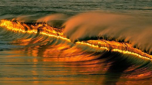 The Wave