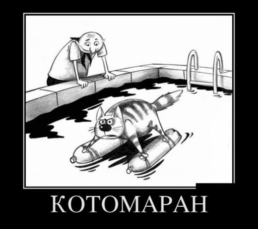Нажмите, чтобы увеличить Kotomaran