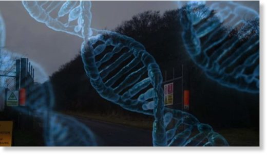 dna secret