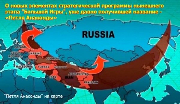 анаконда
