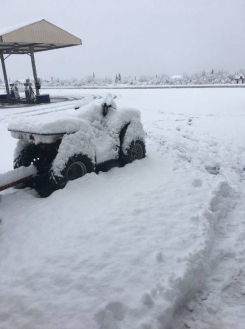 alaska