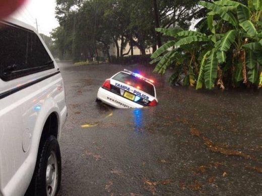 Tampa police car