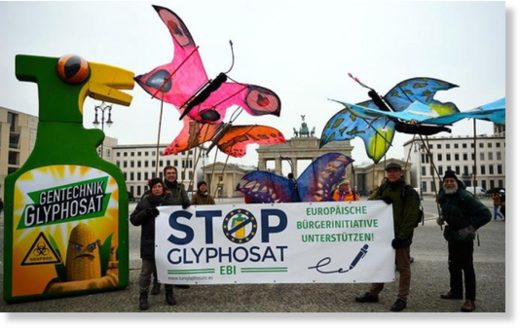 На фото: активисты на фоне Бранденбургских ворот выступают против использования пестицида глифосата, Берлин, Германия