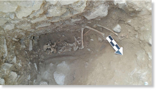 skeleton