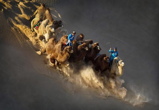 The Ships Of The Desert