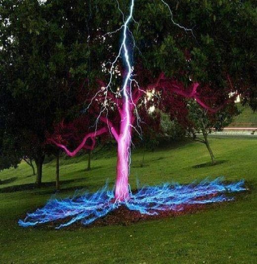Don't Stand Under Trees In A Storm