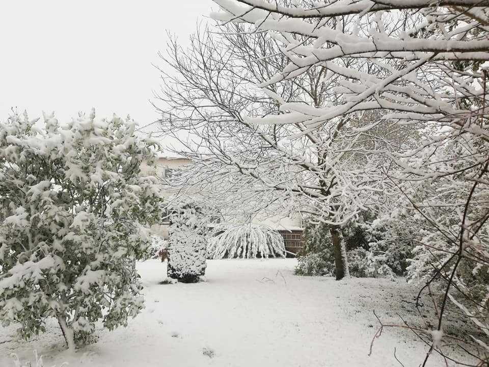 spring snow in Harperscheid, Germany