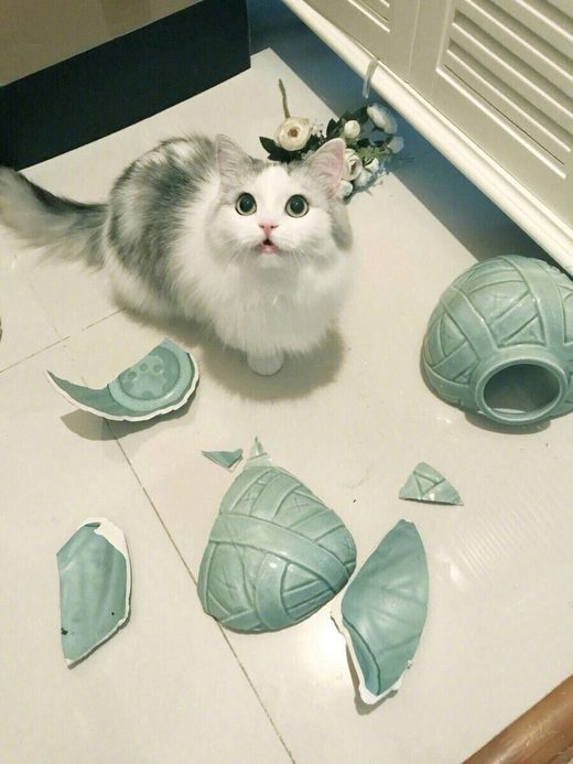 It attacked me