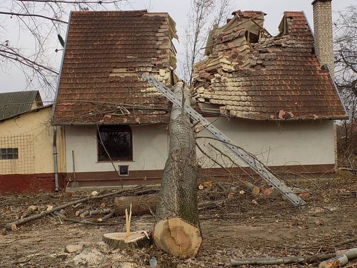 Tree falling