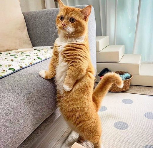 ... and what shall I do?