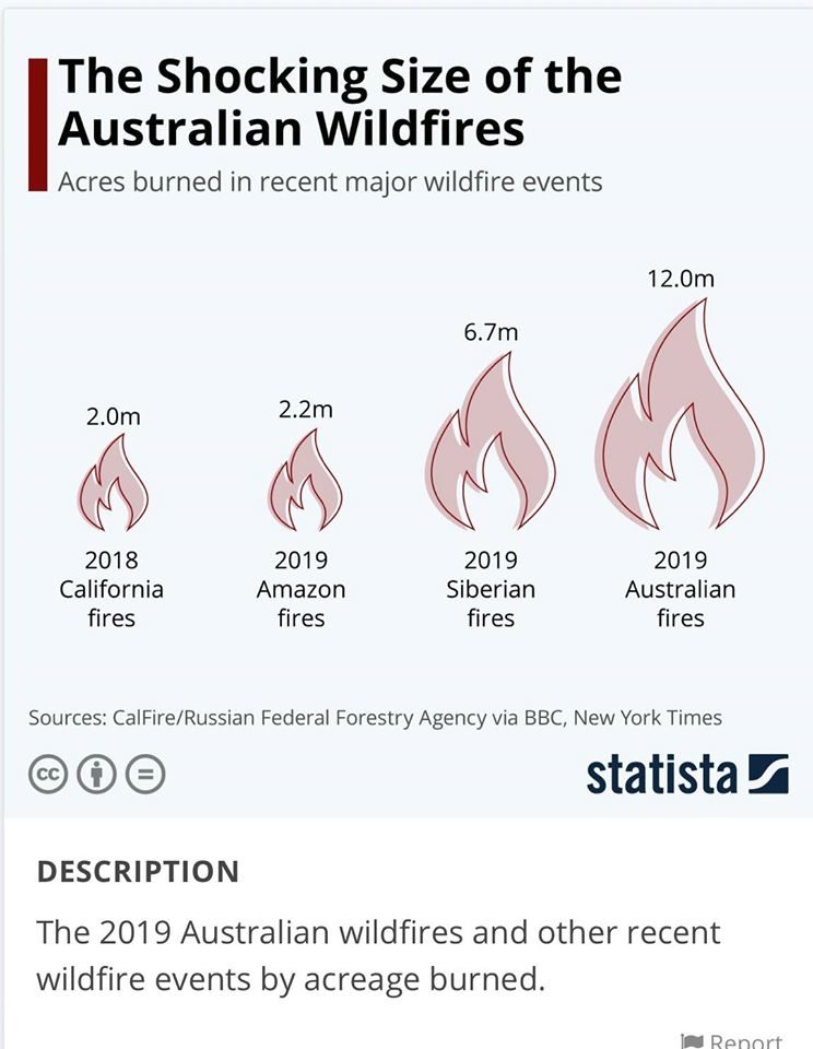 Шокирующее сравнение лесных пожаров в Австралии с недавними пожарами в Сибири, Амазонии и Калифорнии.