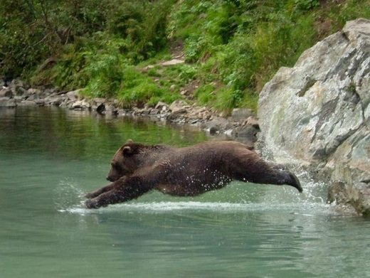 Swimming is good for you