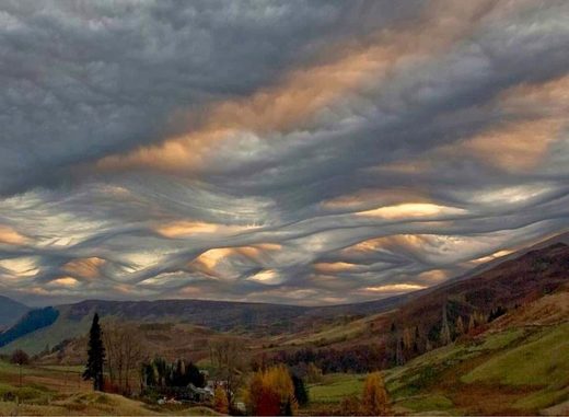 Asperatus