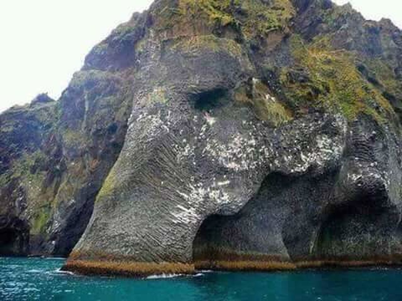 Elephant rock, New Zeeland
