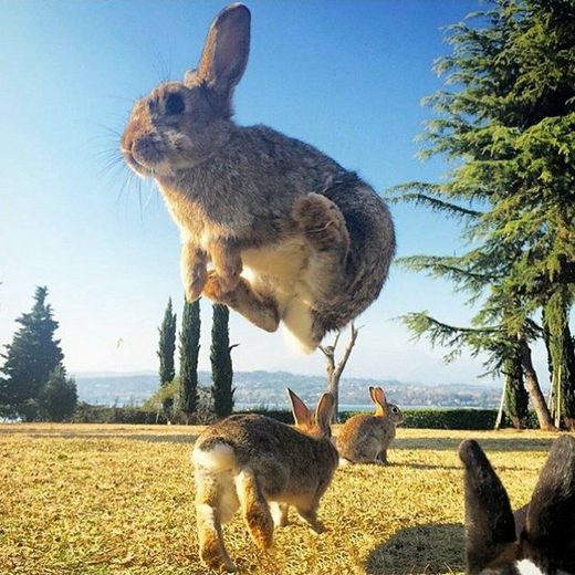 Нажмите, чтобы увеличить Quantum jumps