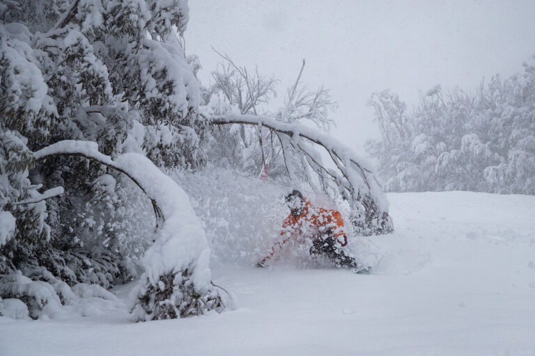 The freshies in Thredbo were best yesterday morning, the snow getting heavier as the day went on.
