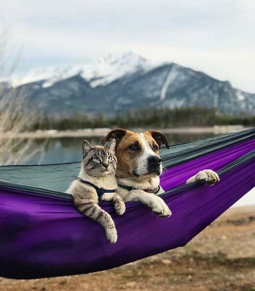 Нажмите, чтобы увеличить Friends forever