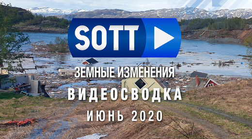 сводка