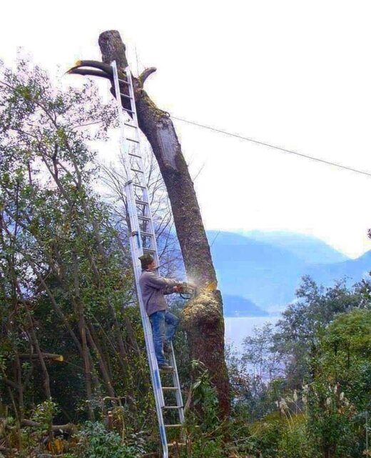 All calculated!