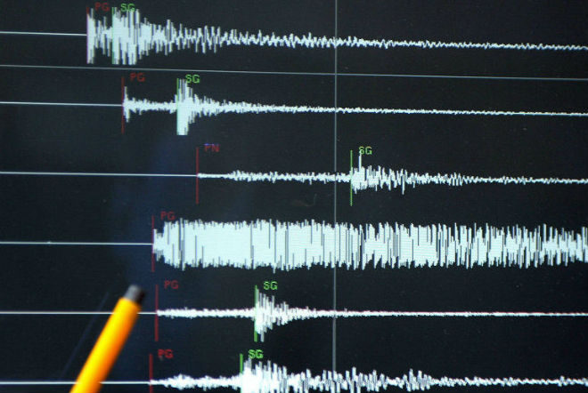 У берегов Японии произошло землетрясение магнитудой 5,5: разрушений нет