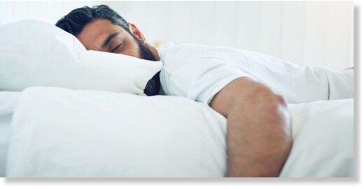 Кишечные бактерии влияют на сон