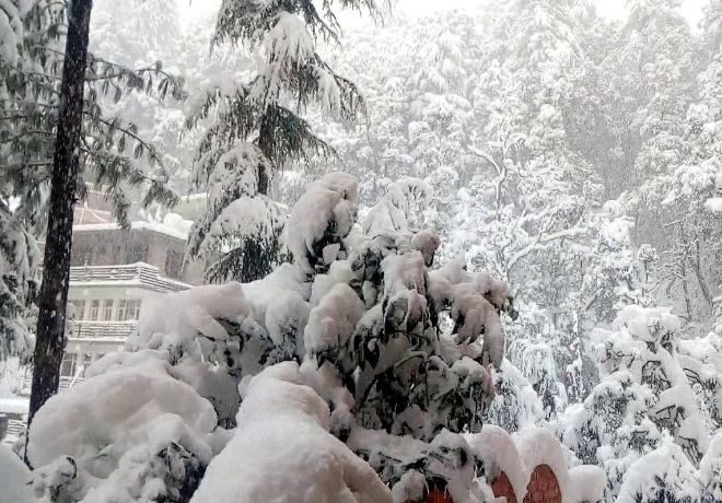 В индийском штате Химачал-Прадеш прошел самый сильный снегопад за 30 лет