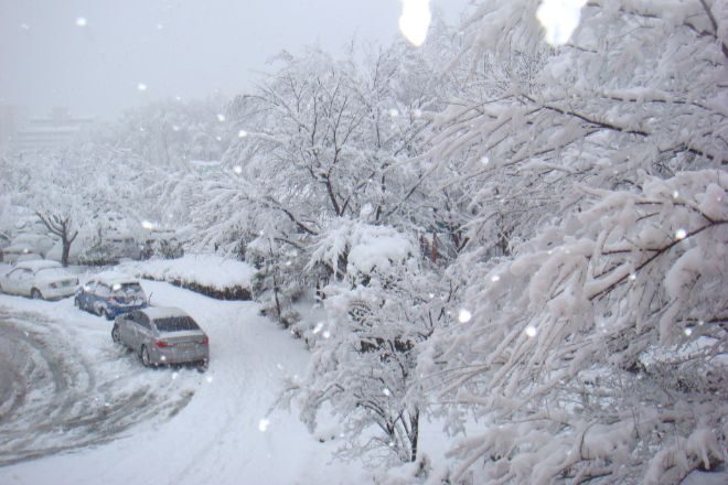 В Южной Корее прошел аномально сильный снегопад, пострадали более 90 человек