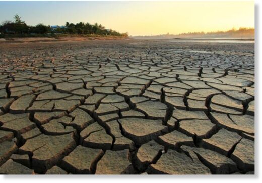 Ангола переживает сильнейшую засуху за последние 40 лет