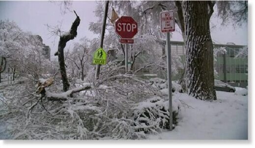 Мощный снегопад вызвал отключение электричества в Денвере, штат Колорадо, США