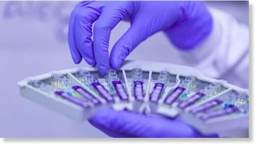 Вакцину Pfizer и BioNTech обвиняют в провоцировании Альцгеймера. Но ее уже одобрили в США