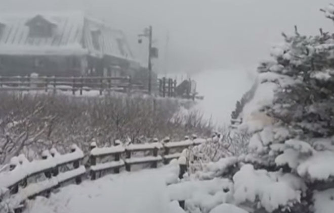 В Южной Корее впервые за 22 года прошел майский снегопад