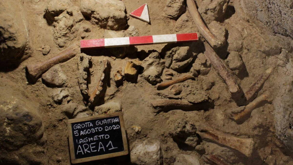 Археологи обнаружили останки 9 неандертальцев недалеко от Рима