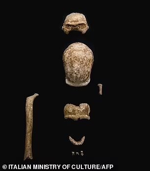 Археологи обнаружили останки 9 неандертальцев недалеко от Рима