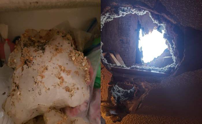 Мегакриометеор: кусок льда размером с пушечное ядро ​​упал на дом в Винконсине