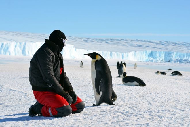 Начало антарктической зимы выдалось на 10 °C холоднее обычного