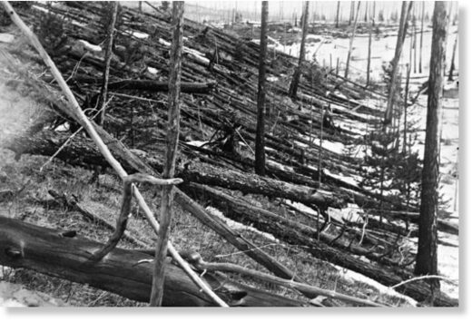 Из-за взрывной волны Тунгусского болида был уничтожен лес и местные животные