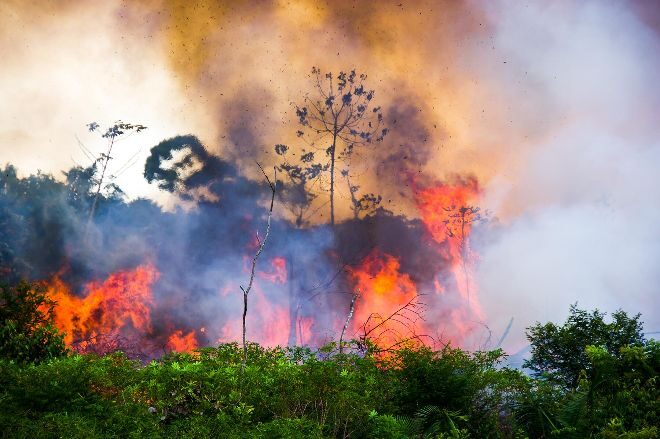 В Бразилии зафиксировано наибольшее количество лесных пожаров за 14 лет