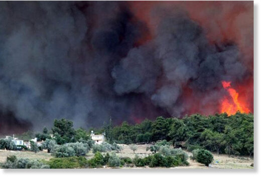 Лесные пожары в Турции: погибли 8 человек, тысячи людей покинули свои дома